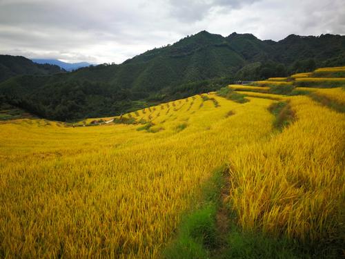 4、广东清远市清新区连山瑶族乡连山布袋围村部、连山县石排镇连山壮族瑶族苗族乡、广东省连山县连山镇沙塘村、连山县长潭镇永安村沙塘村、番禺区小榄镇东涌村