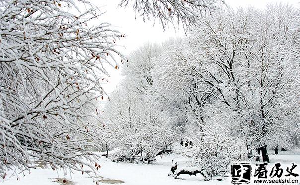 雪景