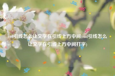 ​cad引线怎么让文字在引线上方中间(cad引线怎么让文字在引线上方中间打字)