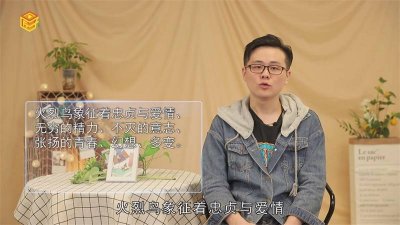 ​火烈鸟象征啥 火烈鸟象征着什么?