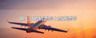 ​怎样查机票订单号查询航班 订机票单号怎么查