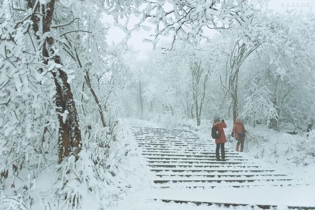 搞笑段子：雪人堆得不正经！雪都被玩坏了，简直搞笑死了！