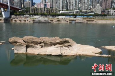 ​长江重庆段水位降低 千年“神龟”浮出水面吸引眼球
