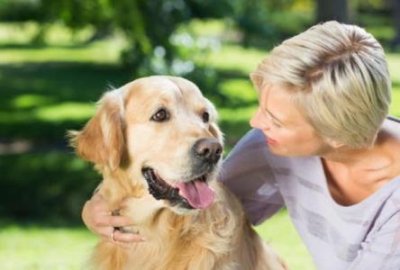 ​中亚犬属于什么犬种中亚犬是哪里的品种