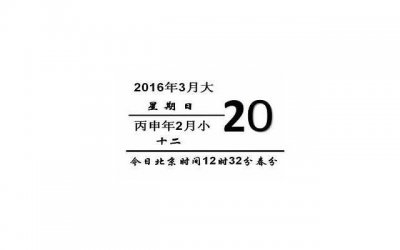 ​一辈子不结婚被家人反对(男人的苦你可以不理解但请别埋怨)