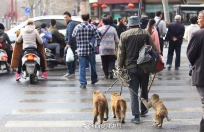 ​最后的耍猴人来到西安与猴子同吃同住 传统手艺很少见了