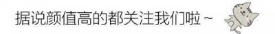 ​海贼王：革命军干部战斗力排行，最后一位实力甚至超越四皇！