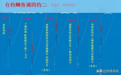 ​钓鱼新手调漂别乱来，四种方法调漂最灵敏，浮漂一有动作就上鱼