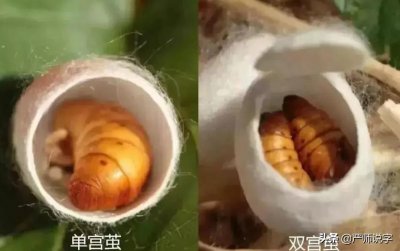 ​格物致知是什么意思？