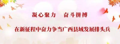 ​「网络中国节」5000元红包等你拿！快来下载“横县云”APP看春晚抢红包！