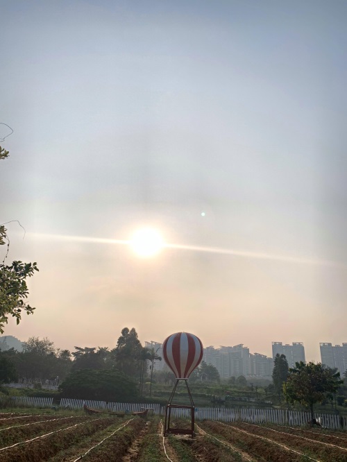 广州-蒲州花园-网红拍照圣地