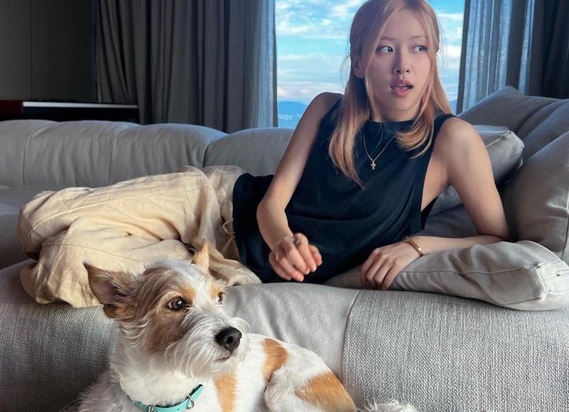 分手后挽回要怎么做 最佳的分手挽回方法是什么