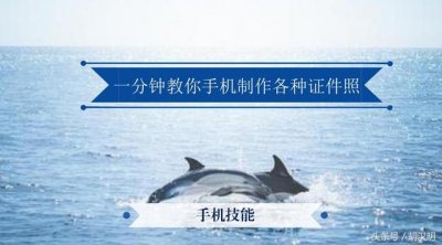 ​一分钟教你手机制作各种证件照