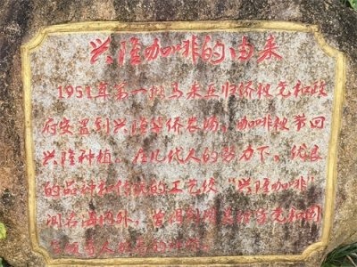 ​海南特色之兴隆咖啡