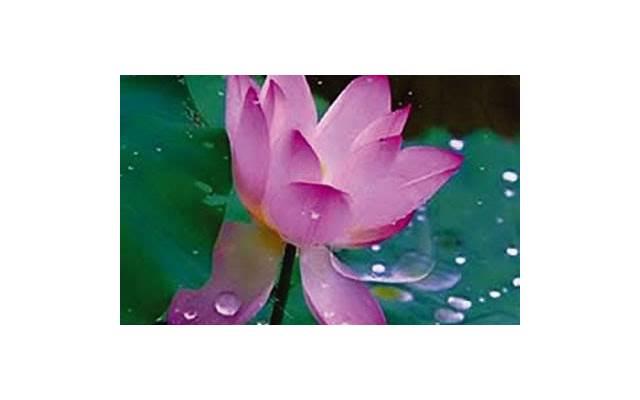 追女生攻略之-低成本约会流程