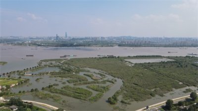 ​航拍扬州润扬森林公园：“长江绿肺”美如画