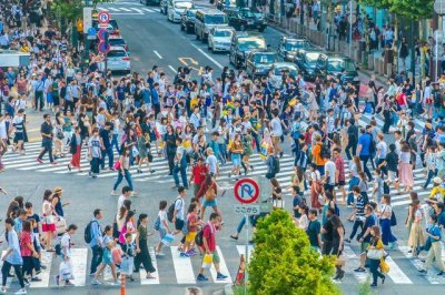 ​过马路的人生哲理