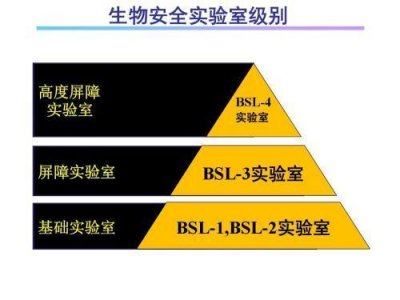 ​生物安全等级——关于人人闻风色变的病毒