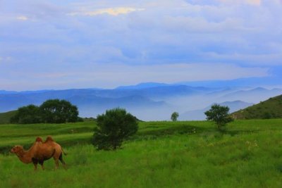 ​打卡距离沈阳最近的大草原 7月自驾乌拉盖