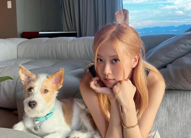 婚前协议私下签订具有法律效应吗