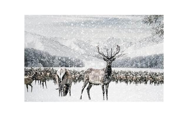 结婚前心理压力很大怎么办 结婚前心理压力解决方法