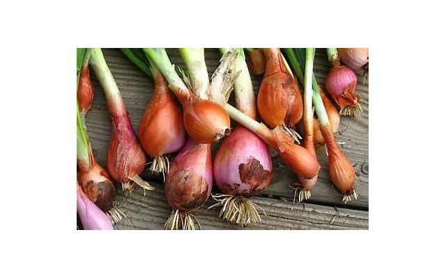 送朋友什么结婚礼物,别人结婚送什么礼物 送朋友什么结婚礼物,别人结婚送什么礼物