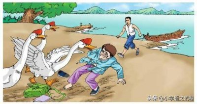 ​四上第十八课《牛和鹅》教材解析