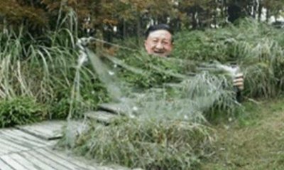 ​量子隐身衣频出，隐形时代即将开始