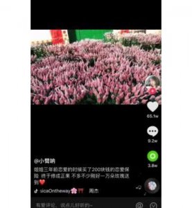 ​兑换万朵玫瑰而走红“恋爱保险”早已被监管叫停，其中风险在哪里