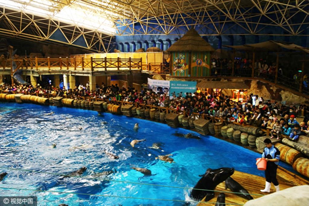 山东青岛：五一节假日 极地海洋世界游客爆棚