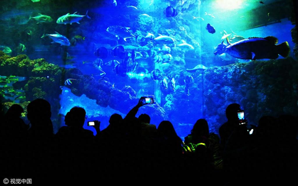 山东青岛：五一节假日 极地海洋世界游客爆棚