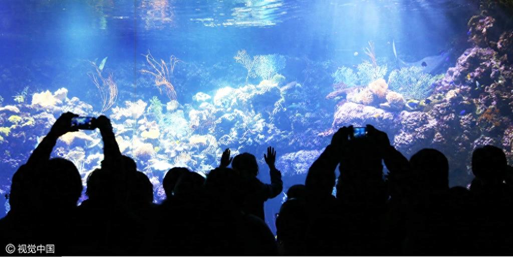 山东青岛：五一节假日 极地海洋世界游客爆棚