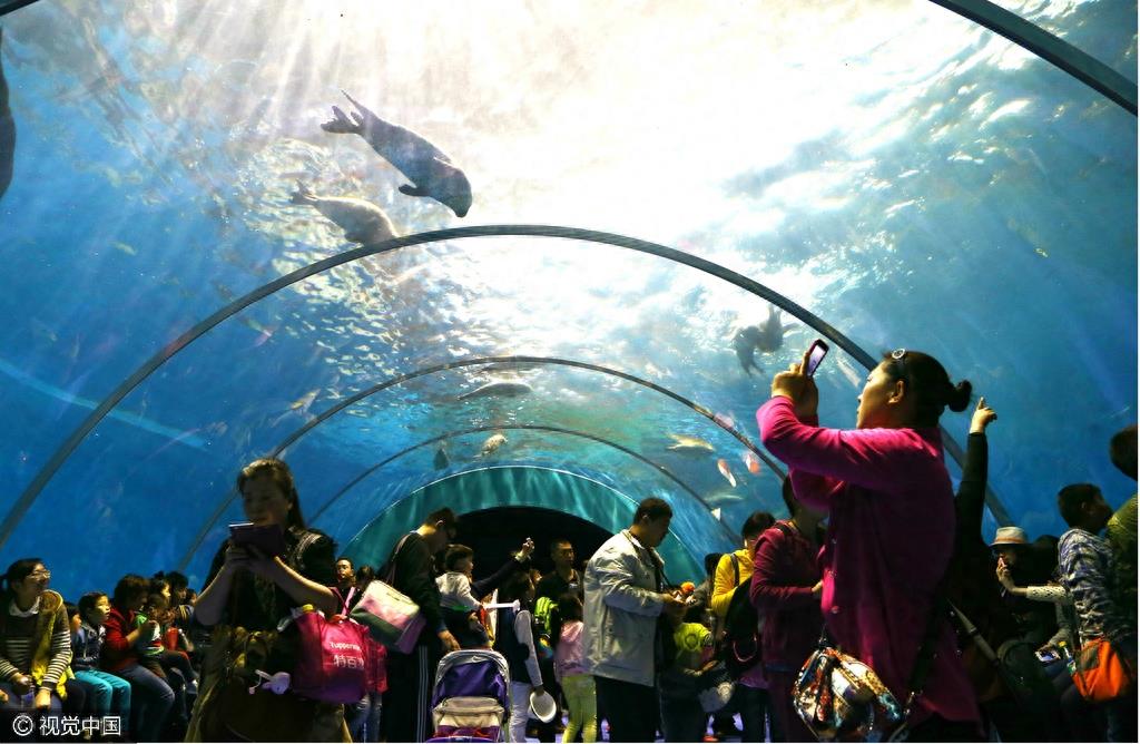 山东青岛：五一节假日 极地海洋世界游客爆棚