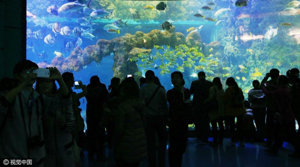 山东青岛：五一节假日 极地海洋世界游客爆棚