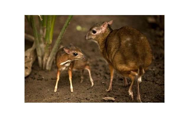 几招治好他 被相亲男冷处理了怎么办