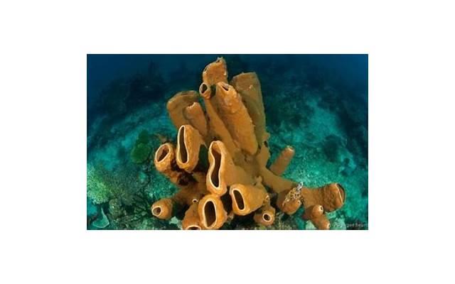 观众缘不好怎么办 观众缘不好怎么办