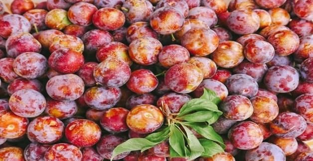 长乐家乡的特产是什么