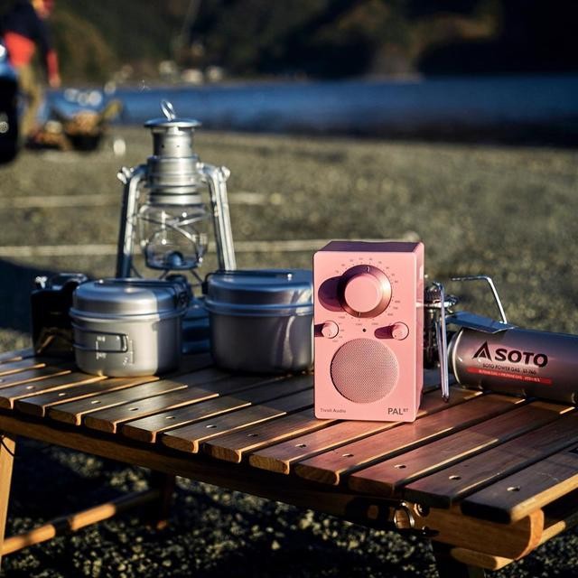 十款发烧级蓝牙客厅音箱（带着音箱去露营）(10)