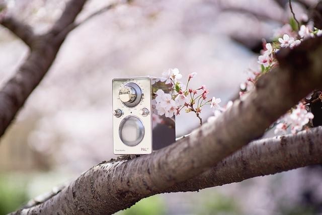 十款发烧级蓝牙客厅音箱（带着音箱去露营）(11)