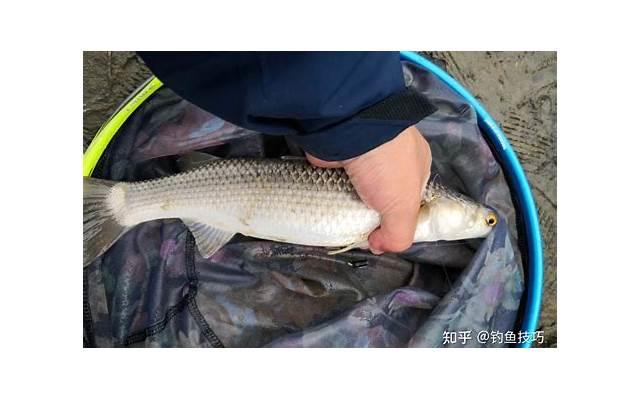 心情不好总想哭怎么办（老年人心情不好,总想哭怎么办）