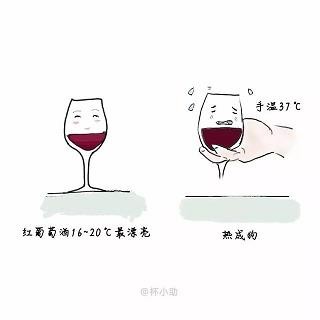 白酒有没有杀菌的功效