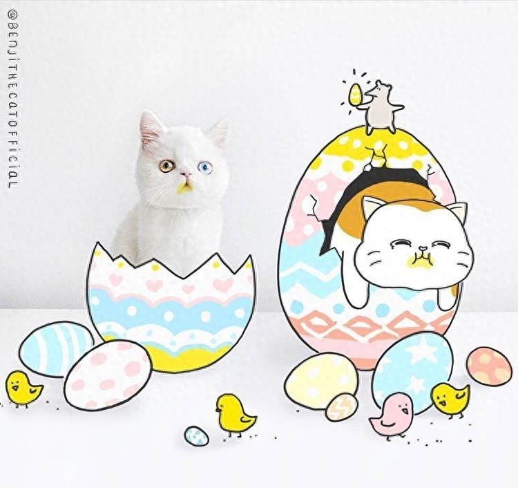 12张美cry的“异色瞳”照片,不是只有动物才有“异色瞳”