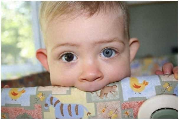 12张美cry的“异色瞳”照片,不是只有动物才有“异色瞳”