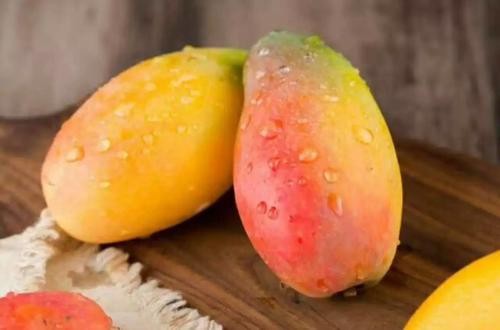 贵妃芒打的好吃还是小的好吃 贵妃芒几月份好吃 贵妃芒打的好吃还是小的好吃 贵妃芒几月份好吃