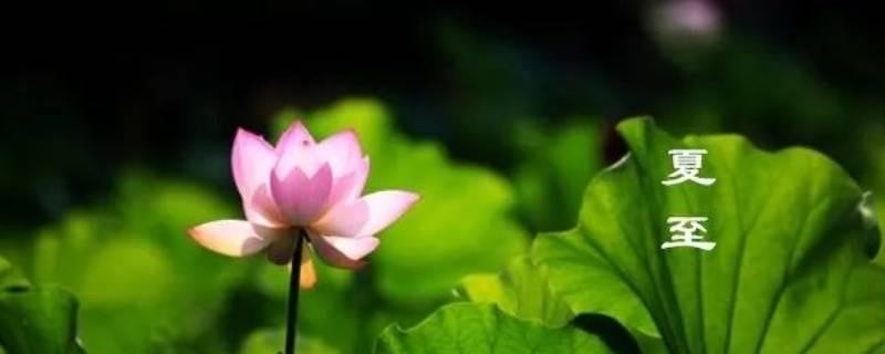 生活夏至是什么意思  1