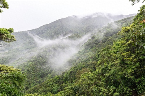 梧桐山主峰高944米，为珠三角第一峰，上有“梧岭天池”