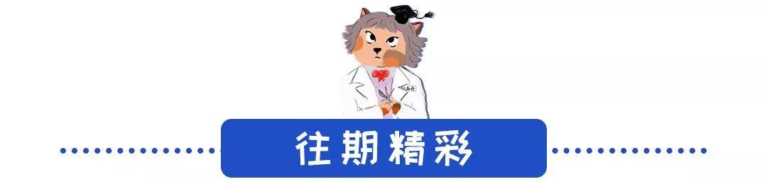猫鼻支怎么自己治疗（猫鼻支怎么治8个要点教会你）(11)