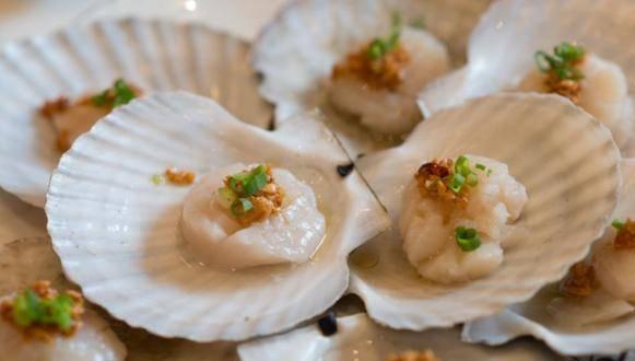 海贝壳的小知识（100种海鲜贝类名称大全）