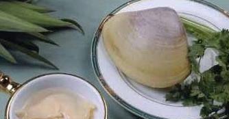 海贝壳的小知识（100种海鲜贝类名称大全）