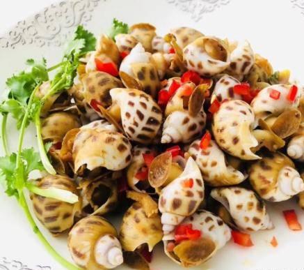 海贝壳的小知识（100种海鲜贝类名称大全）